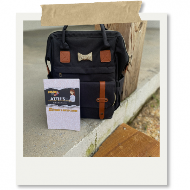 Stem Story Quest Kit From Books That Build Skills
